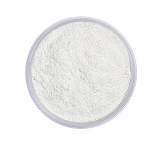 AG九游会登陆欧洲